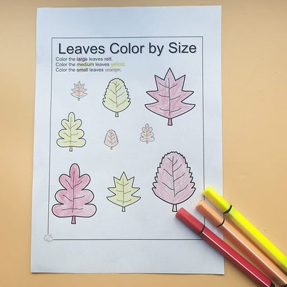 Color By Size Workbooks